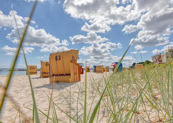 Panorama 159 Apartament *